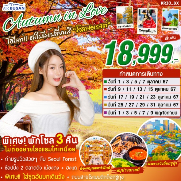 KR30 : ทัวร์เกาหลี AUTUMN IN LOVE 5 วัน 3 คืน บิน BX