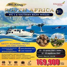 BIG…ICONS of South Africa BIG 5&Southern Right Whales