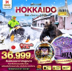 BT มหัศจรรย์…HOKKAIDO โทยะ โอตารุ ซัปโปโร 5 วัน 3 คืน