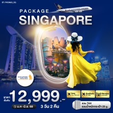 BT PKSIN03 PACKAGE สิงค์โปร์ บิน Full Service