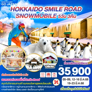 GO2CTS-XJ021-HOKKAIDO SMILE ROAD SNOWMOBILE