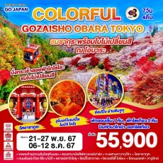 GO2NGO-TG028-COLORFUL GOZAISHO TOKYO 7D 4N