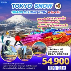 GO2NRT-TG062-TOKYO SNOW GRAND ILLUMINATION