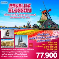 GO3CDG-EK003-BENELUX BLOSSOM 8วัน 5คืน