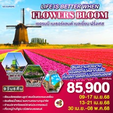 GO3FRA-TG011-LIFE IS BETTER WHEN FLOWERS BLOOM