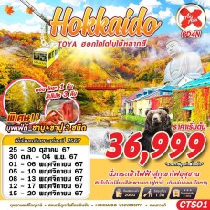 GS CTS01 HOKKAIDO TOYA ฮอกไกโดใบไม้หลากสี (FREEDAY)