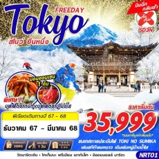 GS NRT01 TOKYO สโนว์ ยืนหนึ่ง (FREEDAY บินดึก) 5D3N