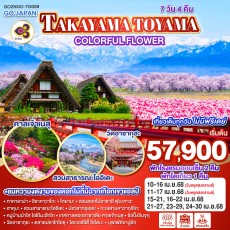 GO2NGO-TG059-TAKAYAMA TOYAMA COLORFUL FLOWER